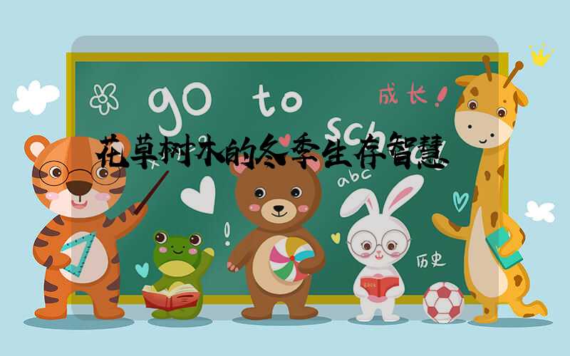 花草树木的冬季生存智慧