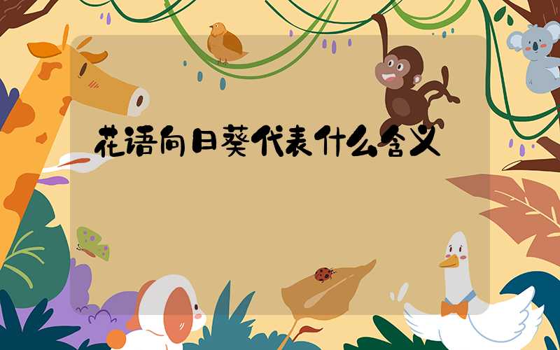 花语向日葵代表什么含义