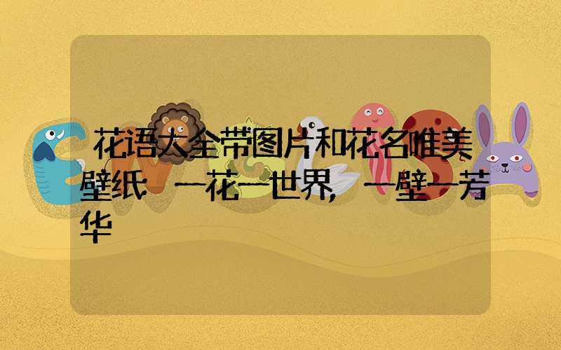花语大全带图片和花名唯美壁纸:一花一世界,一壁一芳华