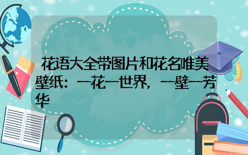 花语大全带图片和花名唯美壁纸：一花一世界，一壁一芳华