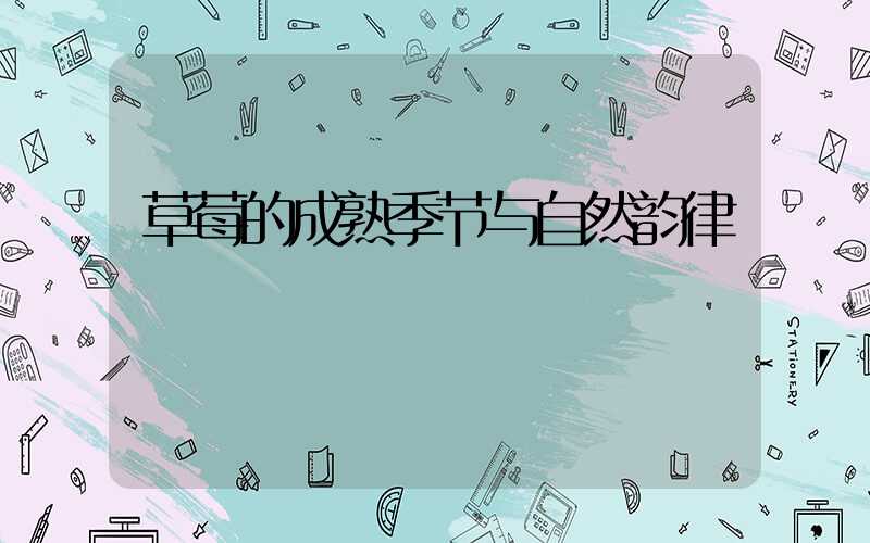 草莓的成熟季节与自然韵律