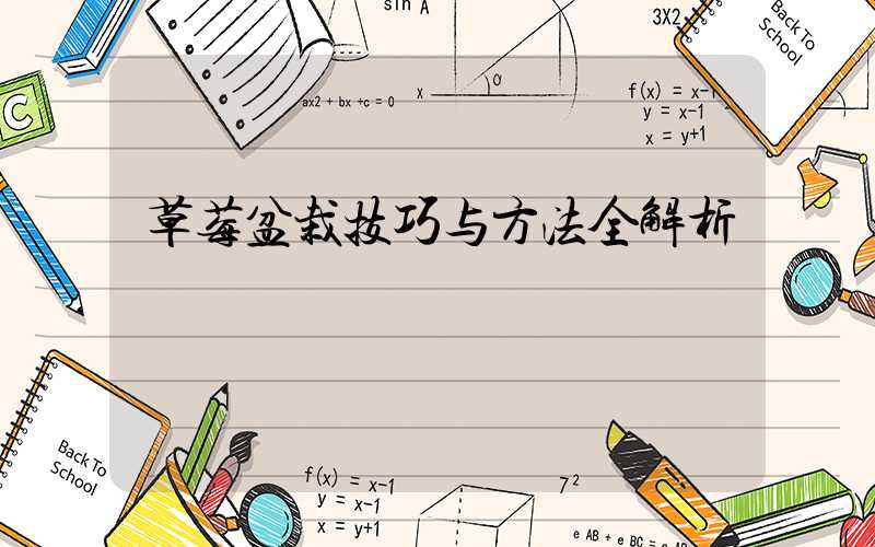 草莓盆栽技巧与方法全解析