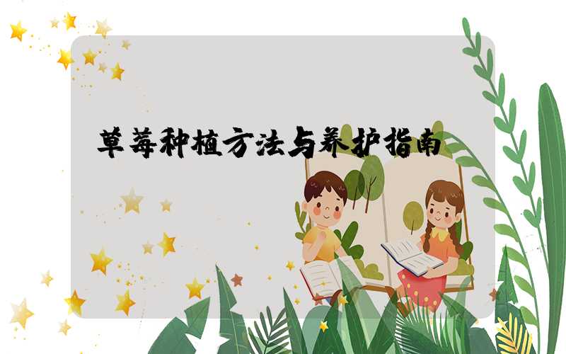 草莓种植方法与养护指南