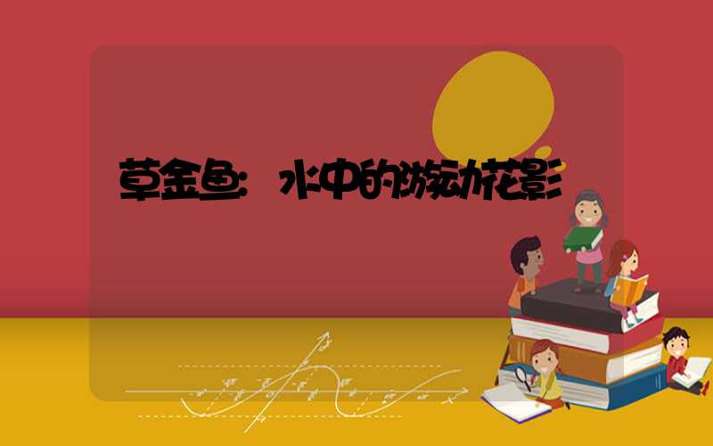 草金鱼:水中的游动花影