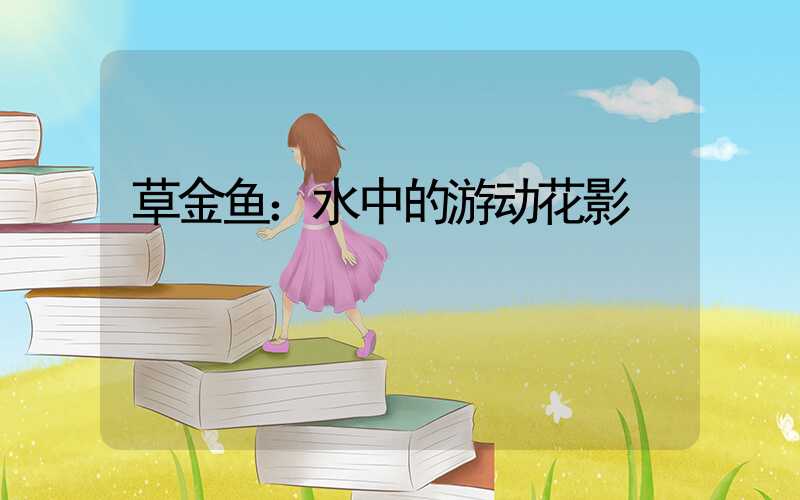 草金鱼：水中的游动花影
