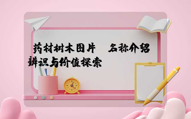 药材树木图片及名称介绍：辨识与价值探索