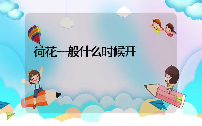 荷花一般什么时候开