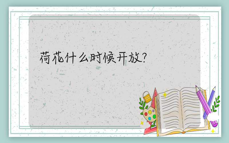 荷花什么时候开放？