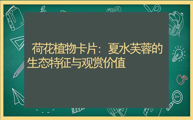 荷花植物卡片:夏水芙蓉的生态特征与观赏价值