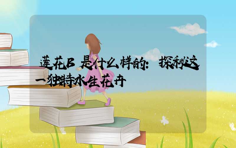 莲花B是什么样的:探秘这一独特水生花卉