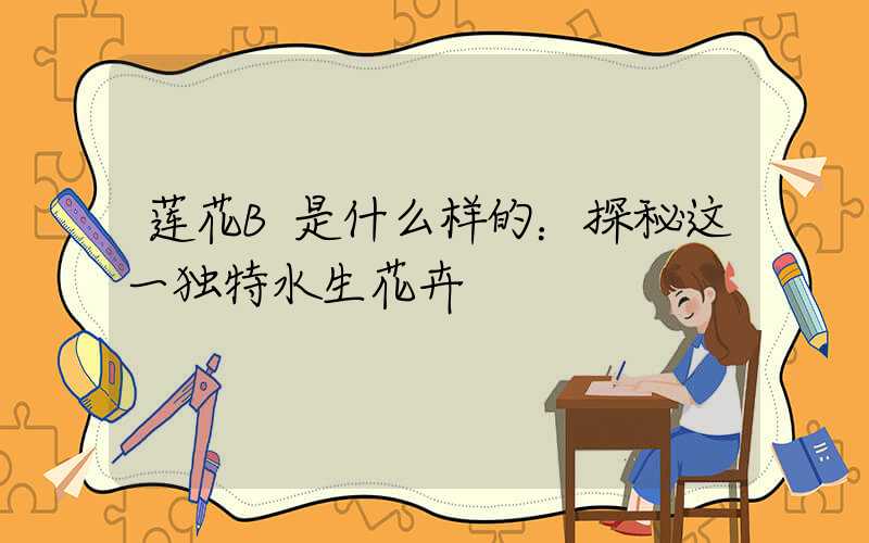 莲花B是什么样的：探秘这一独特水生花卉