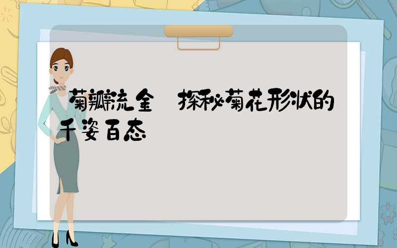 菊瓣流金:探秘菊花形状的千姿百态