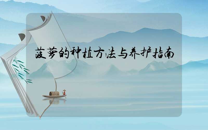 菠萝的种植方法与养护指南