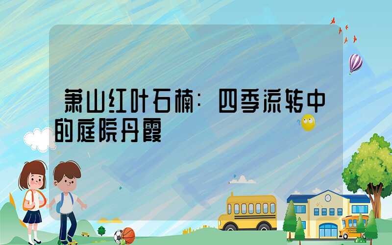 萧山红叶石楠:四季流转中的庭院丹霞