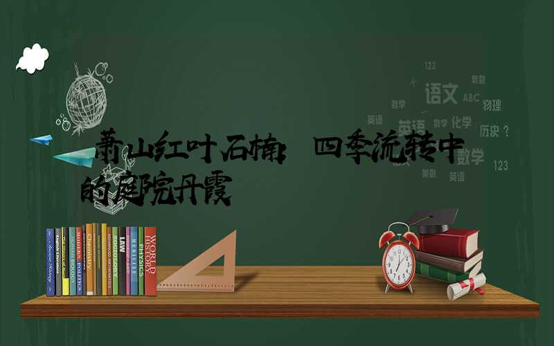 萧山红叶石楠：四季流转中的庭院丹霞