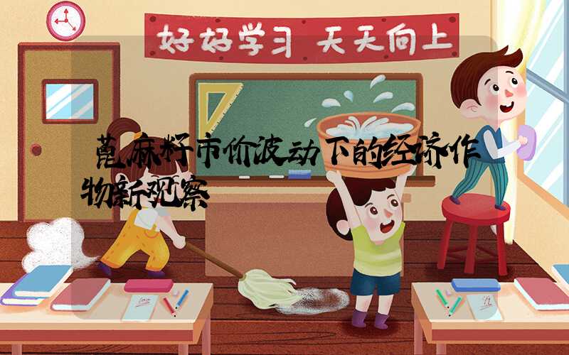 蓖麻籽市价波动下的经济作物新观察