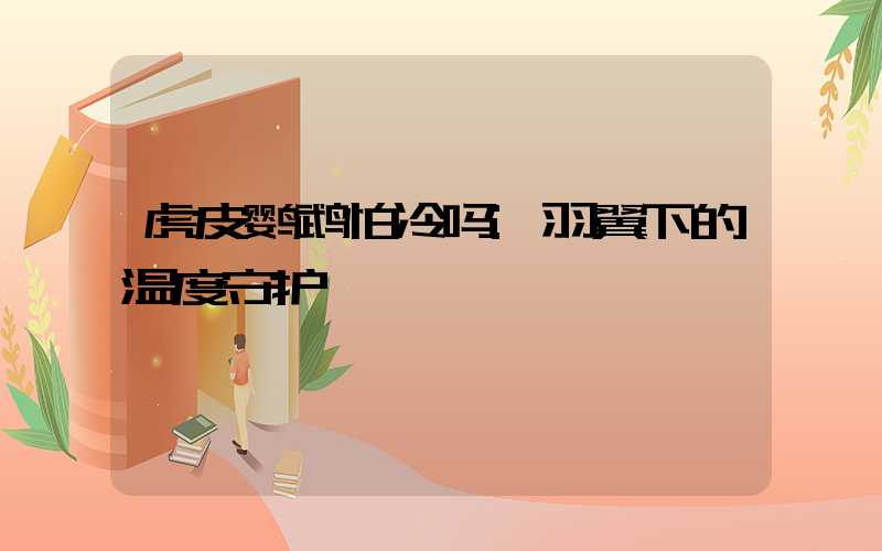 虎皮鹦鹉怕冷吗:羽翼下的温度守护