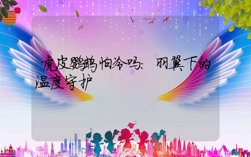 虎皮鹦鹉怕冷吗：羽翼下的温度守护