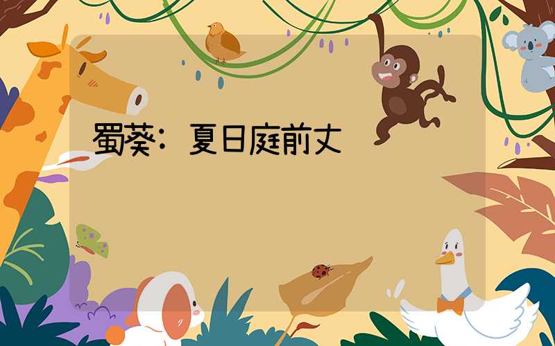 蜀葵:夏日庭前丈许红