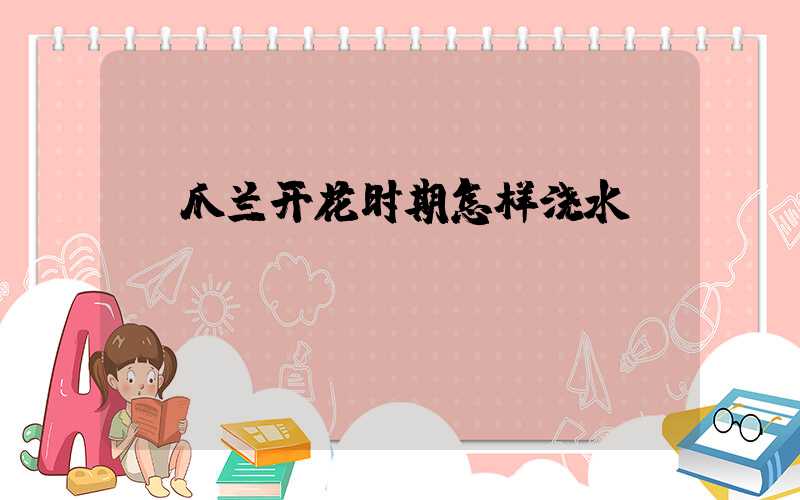 蟹爪兰开花时期怎样浇水