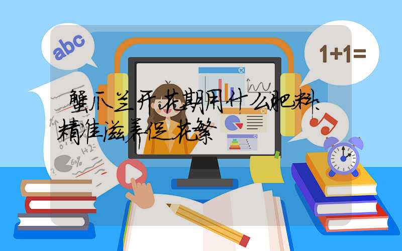 蟹爪兰开花期用什么肥料:精准滋养促花繁