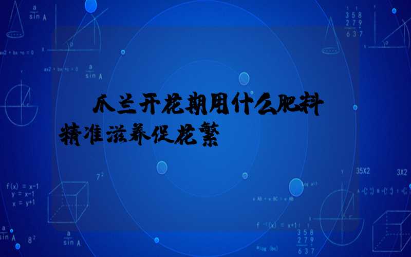 蟹爪兰开花期用什么肥料：精准滋养促花繁