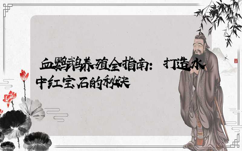 血鹦鹉养殖全指南:打造水中红宝石的秘诀