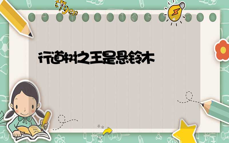 行道树之王是悬铃木