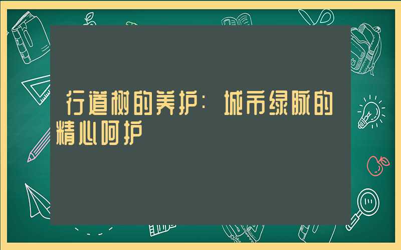行道树的养护:城市绿脉的精心呵护