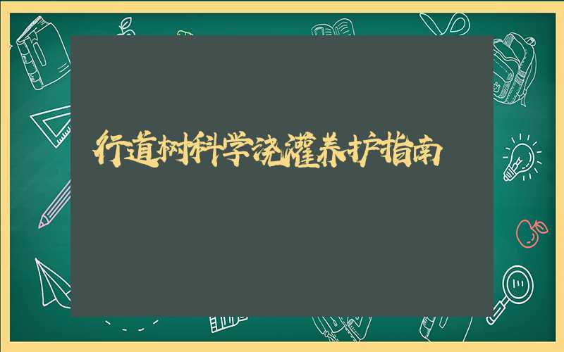 行道树科学浇灌养护指南