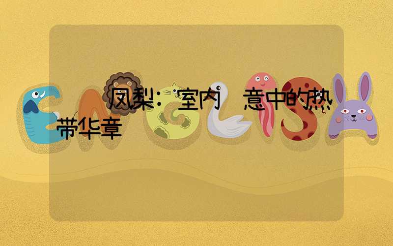 观赏凤梨:室内绿意中的热带华章
