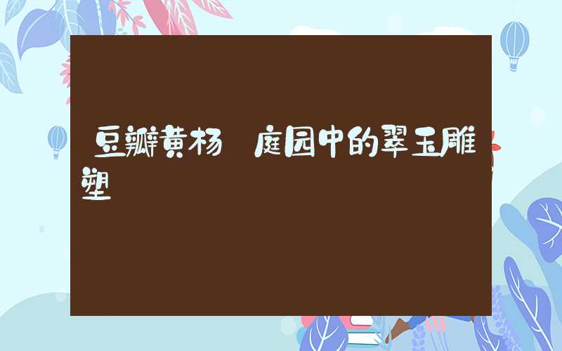 豆瓣黄杨:庭园中的翠玉雕塑