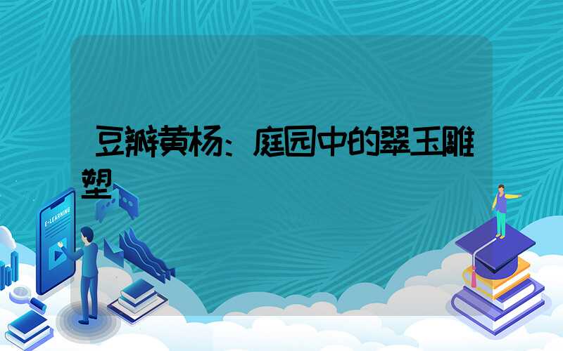 豆瓣黄杨：庭园中的翠玉雕塑