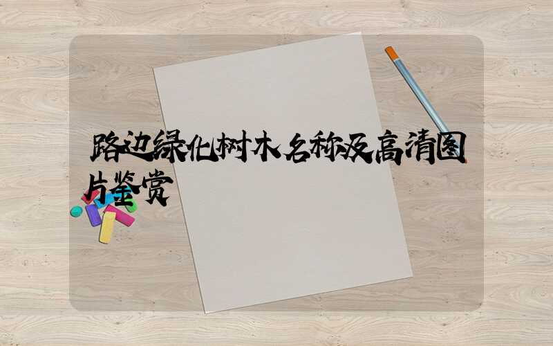 路边绿化树木名称及高清图片鉴赏