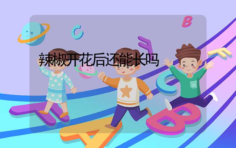 辣椒开花后还能长吗