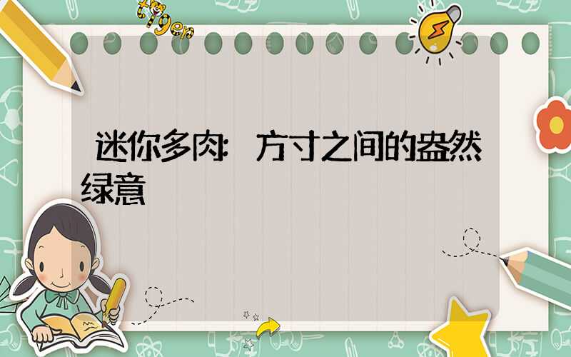 迷你多肉:方寸之间的盎然绿意