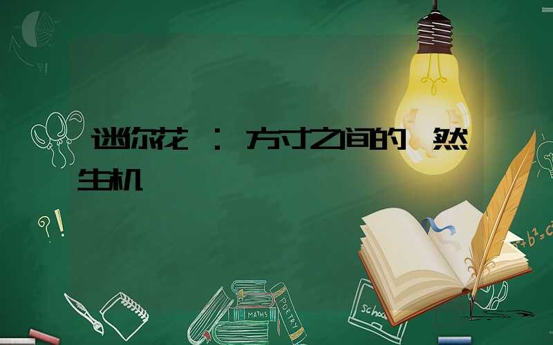 迷你花卉:方寸之间的盎然生机