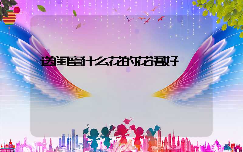 送闺蜜什么花的花语好