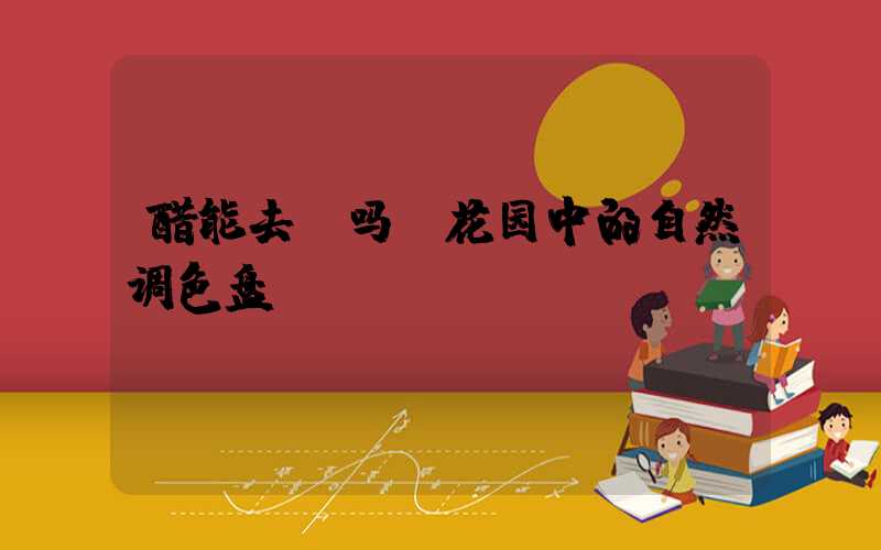 醋能去斑吗：花园中的自然调色盘