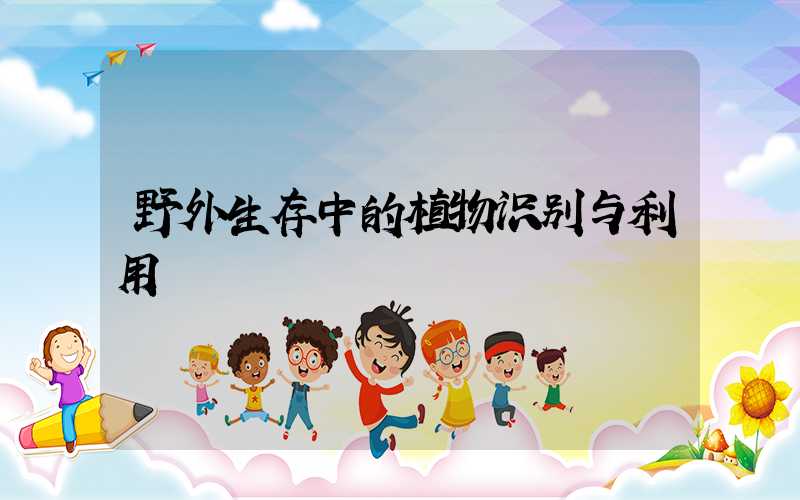 野外生存中的植物识别与利用