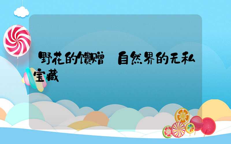 野花的馈赠:自然界的无私宝藏