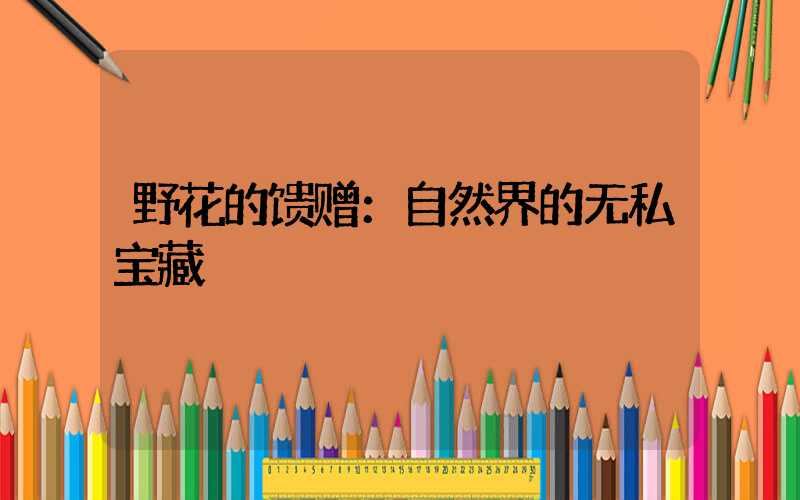 野花的馈赠：自然界的无私宝藏