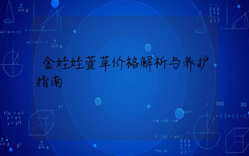 金娃娃萱草价格解析与养护指南