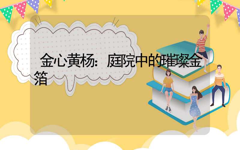 金心黄杨：庭院中的璀璨金箔