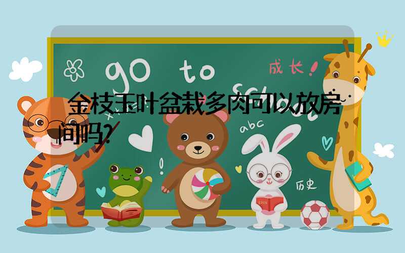 金枝玉叶盆栽多肉可以放房间吗？