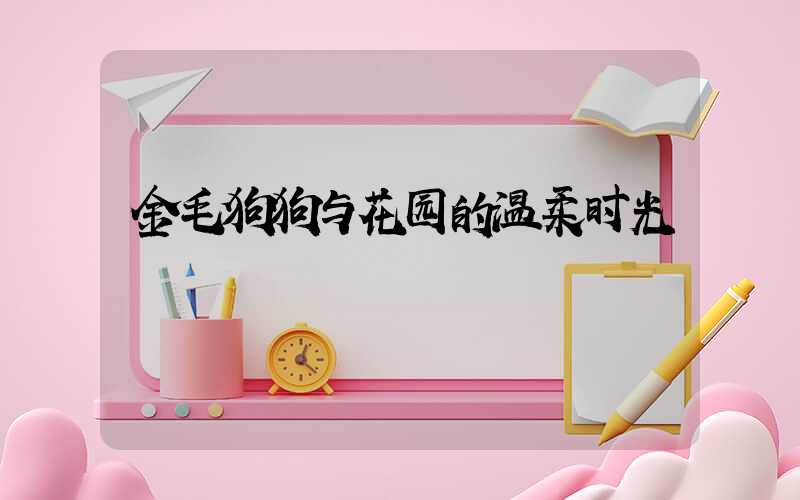 金毛狗狗与花园的温柔时光