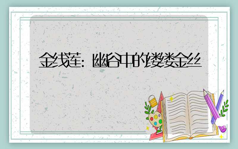 金线莲:幽谷中的缕缕金丝