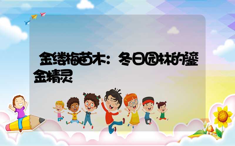 金缕梅苗木：冬日园林的鎏金精灵