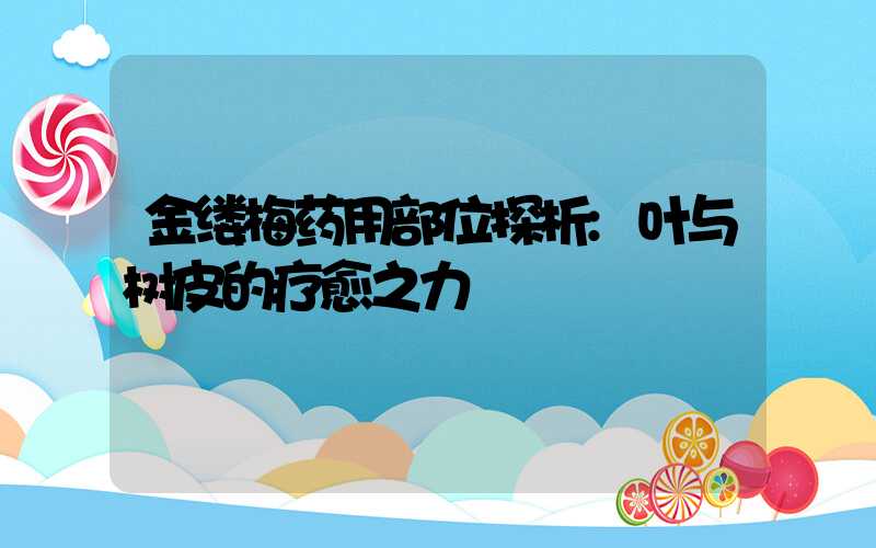 金缕梅药用部位探析:叶与树皮的疗愈之力