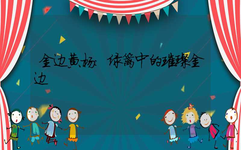 金边黄杨:绿篱中的璀璨金边